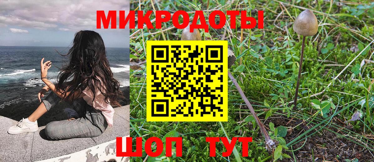 Галлюциногенные грибы мицелий  Псилоцибиновые грибы Psilocybine cubensis  Вход с VPN  Корсаков 