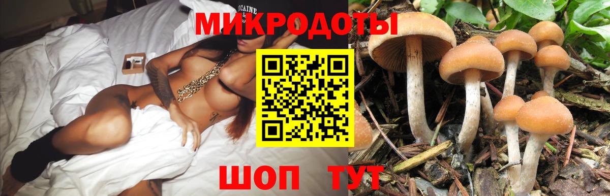 Галлюциногенные грибы Magic Shrooms Корсаков
